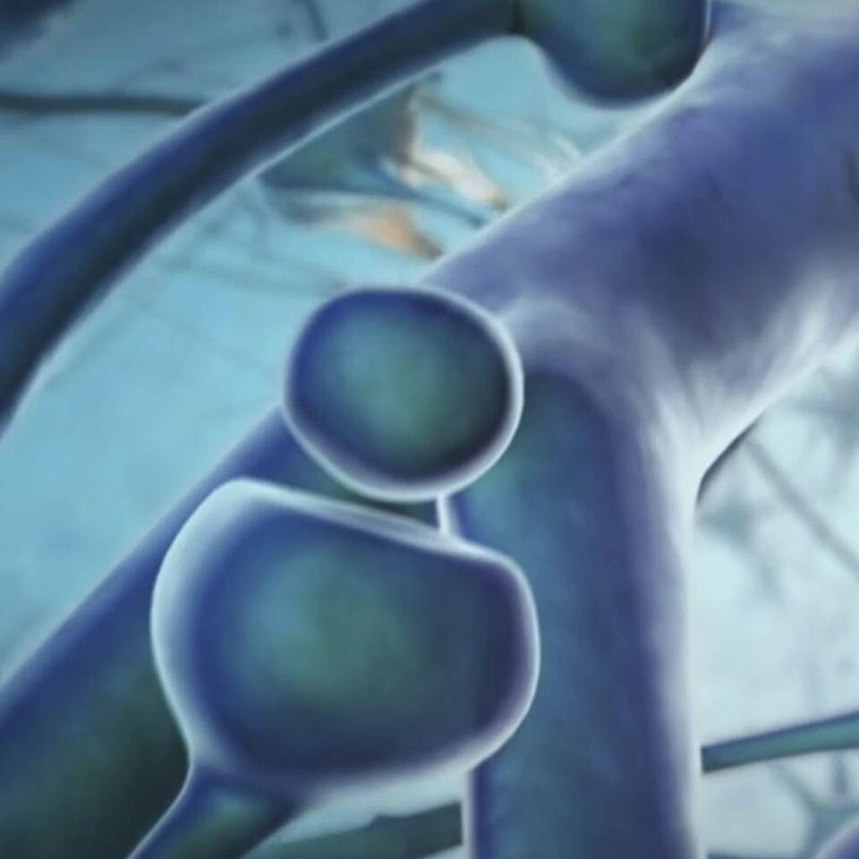 Medical Animation